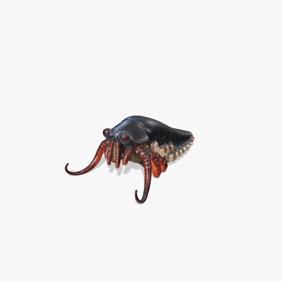 Alien Creature with Tentacles and Insect Eyes 3D Model